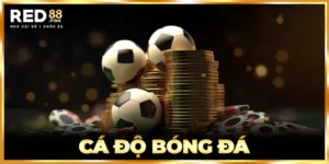 Cá Độ Bóng Đá